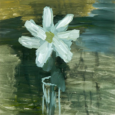 White Flowers in a Glass
